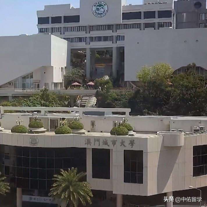 新澳門2024免費瓷料大全,科學(xué)數(shù)據(jù)解釋定義_C版46.47