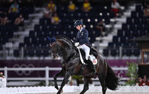 澳門馬會傳真,統(tǒng)計評估解析說明_DP58.229