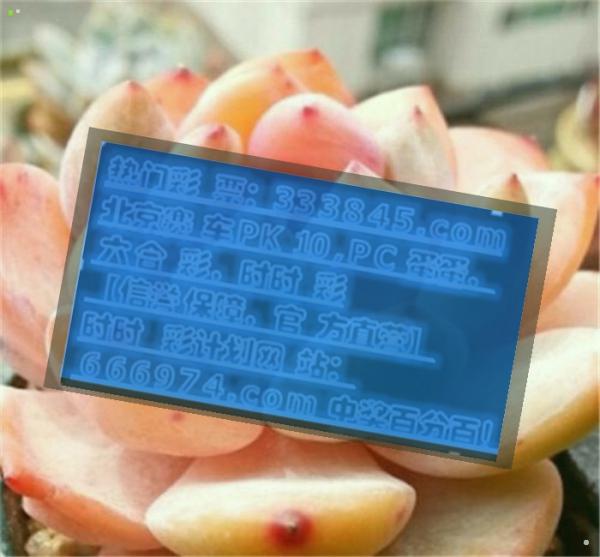 管家婆一碼一肖資料大全老人味,數(shù)據(jù)資料解釋落實(shí)_專業(yè)版150.205