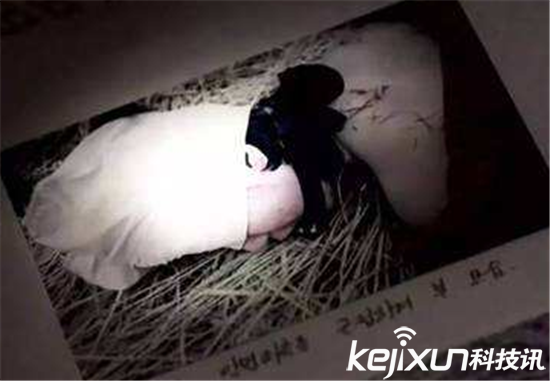 白銀市連環(huán)殺人案最新進展揭秘，探尋真相，揭開迷霧