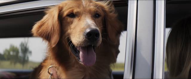 澳門四不像正版四不像網(wǎng),最新研究解析說(shuō)明_移動(dòng)版43.179