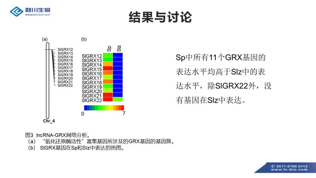 新澳門資料,調(diào)整方案執(zhí)行細(xì)節(jié)_3DM2.627