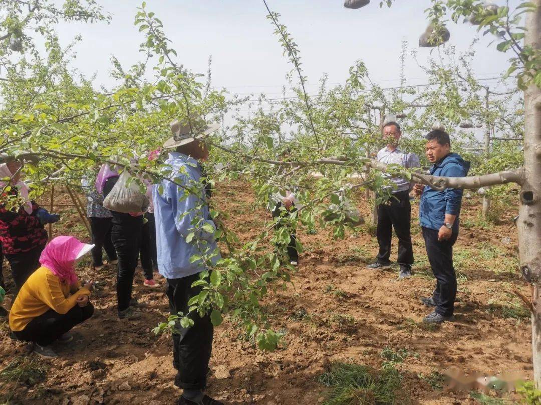 新奧門特免費(fèi)資料大全7456,權(quán)威方法推進(jìn)_T60.175