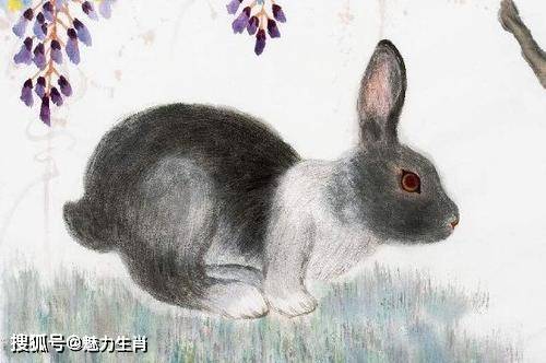 今天晚上澳門三肖兔羊蛇,精準(zhǔn)實(shí)施解析_GT68.750