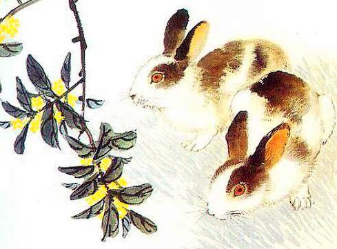 今天晚上澳門三肖兔羊蛇,精準(zhǔn)實(shí)施解析_GT68.750