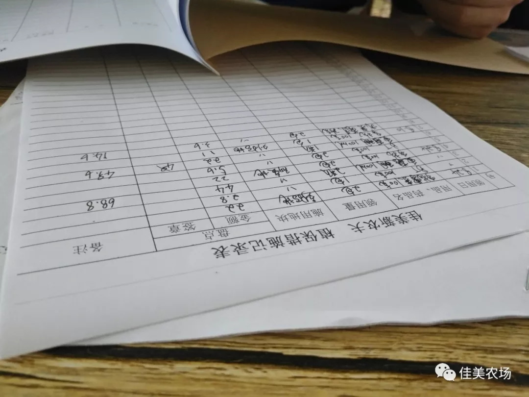 澳門一碼一肖一特一中管家婆,動態(tài)調(diào)整策略執(zhí)行_Holo31.799