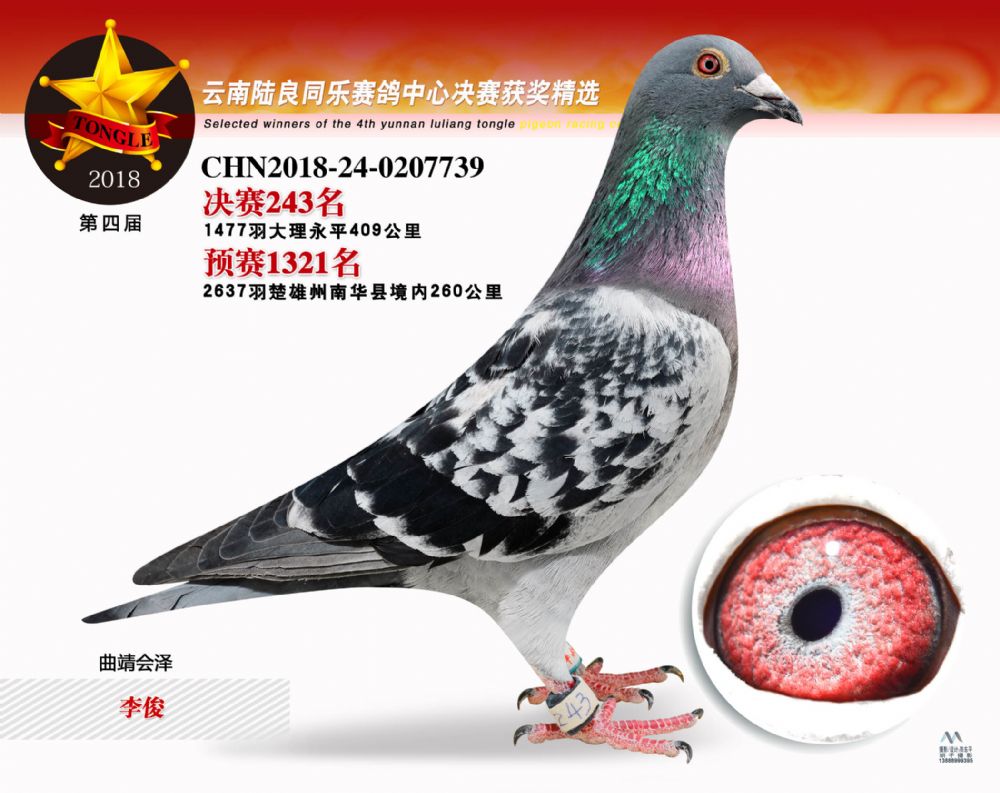 陸良同樂公棚最新消息速遞