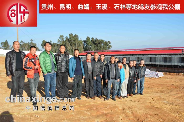 陸良同樂公棚最新消息速遞