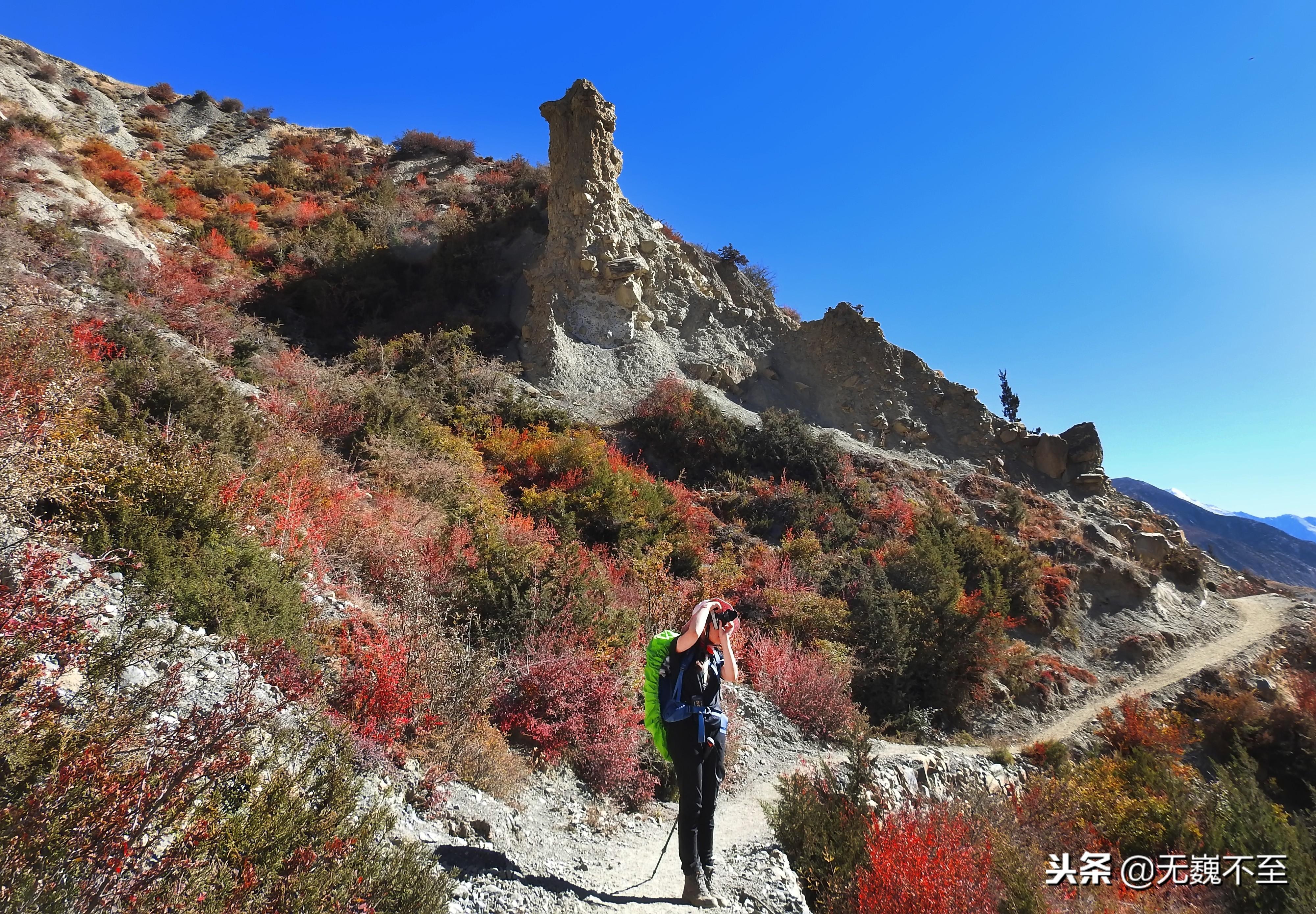 最新十人變隊(duì)形廣場舞，舞動新時代的激情與活力