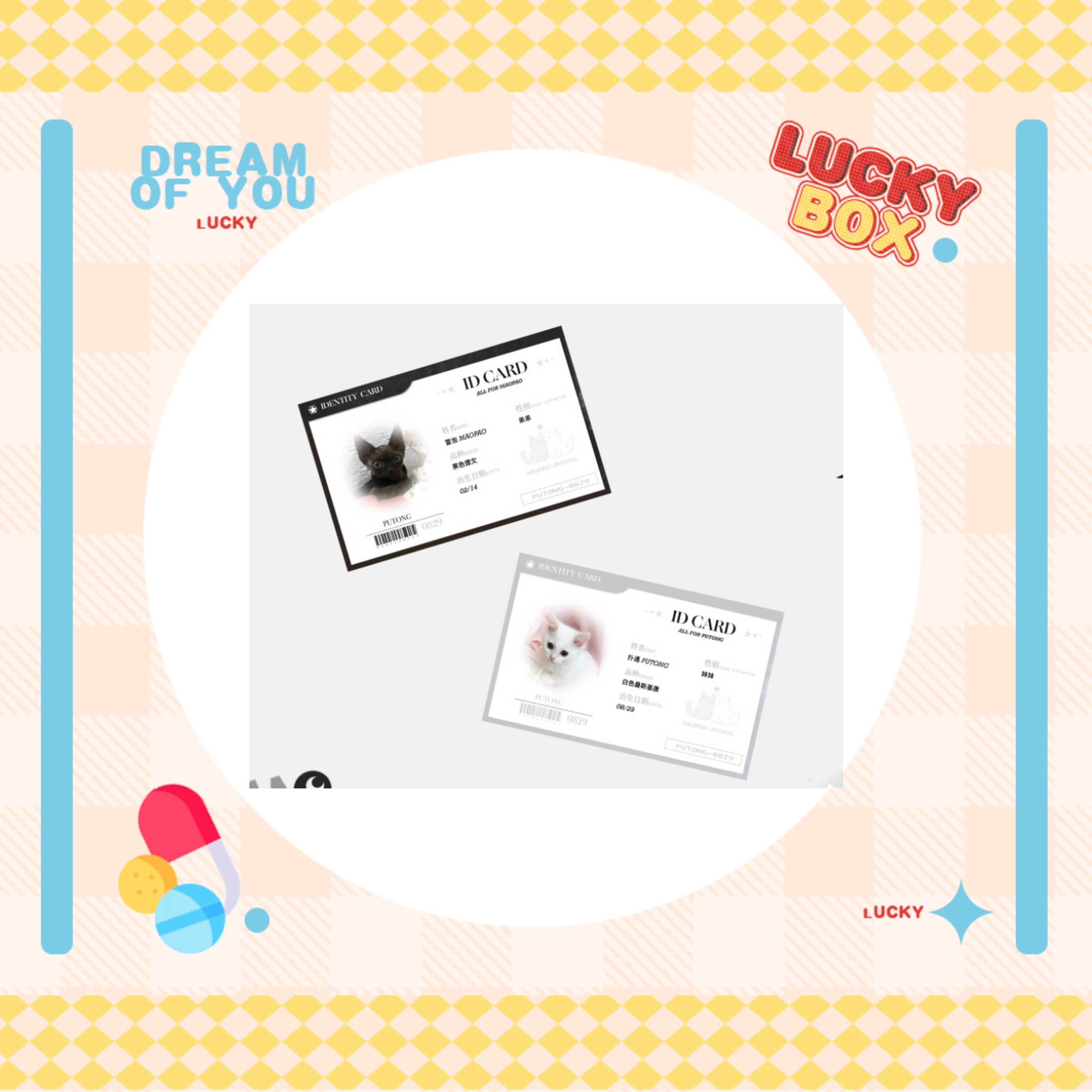 白小姐一肖一碼100正確,全面數(shù)據(jù)執(zhí)行計(jì)劃_VR35.956